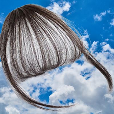 Perruque - AirBangsWig™ - Coiffure Enchanté